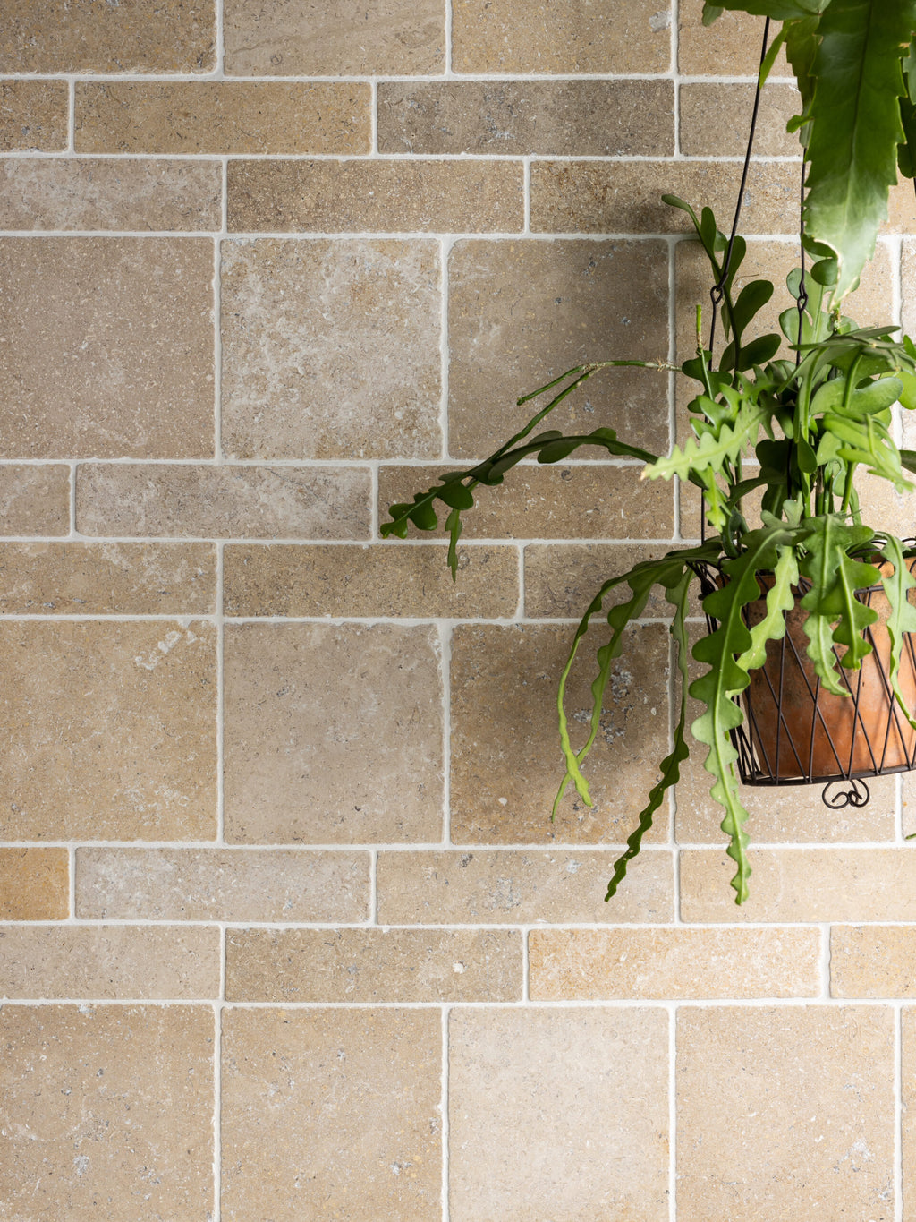 Burgundy Blend Tumbled Limestone