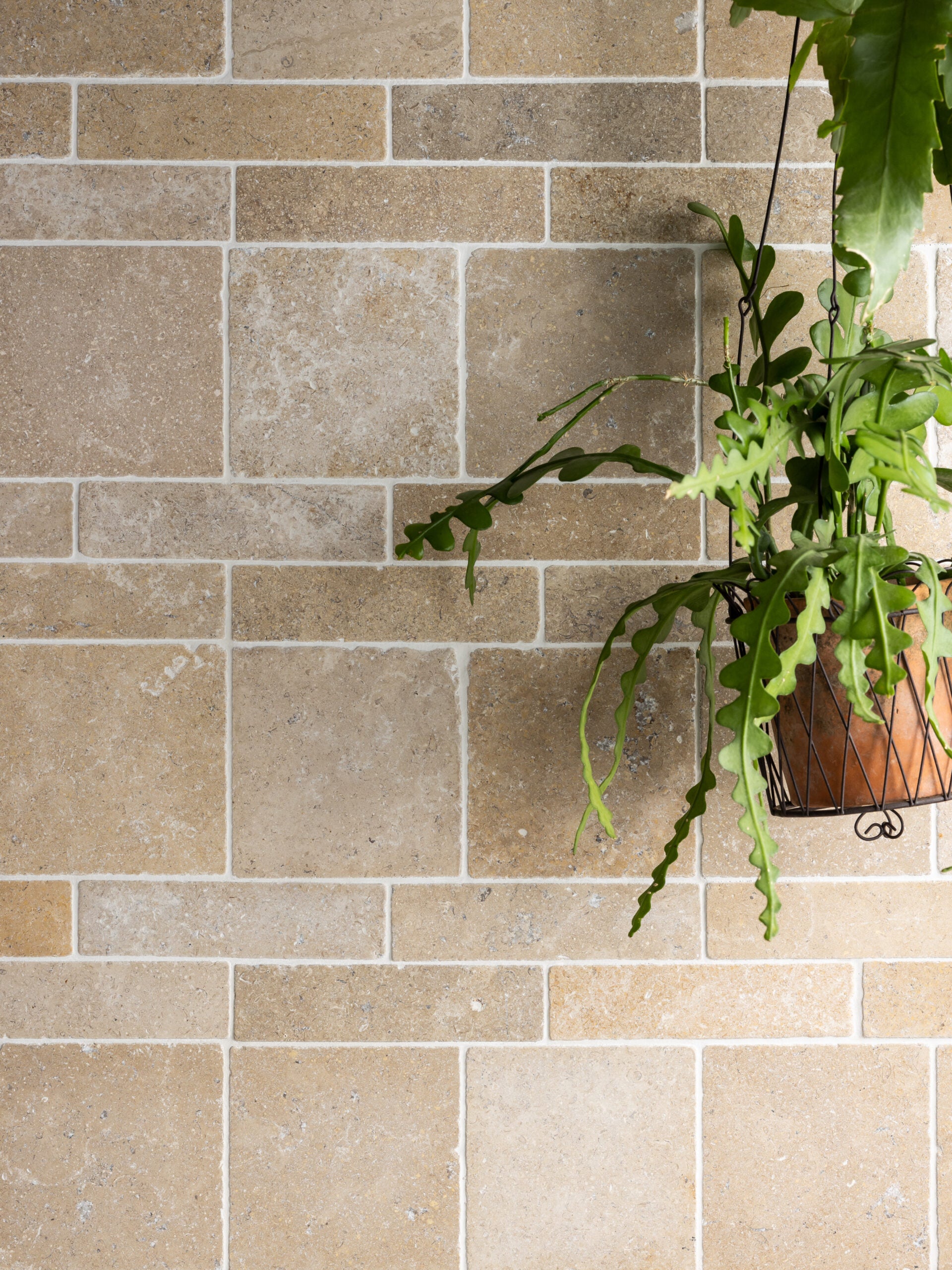 Burgundy Blend Tumbled Limestone