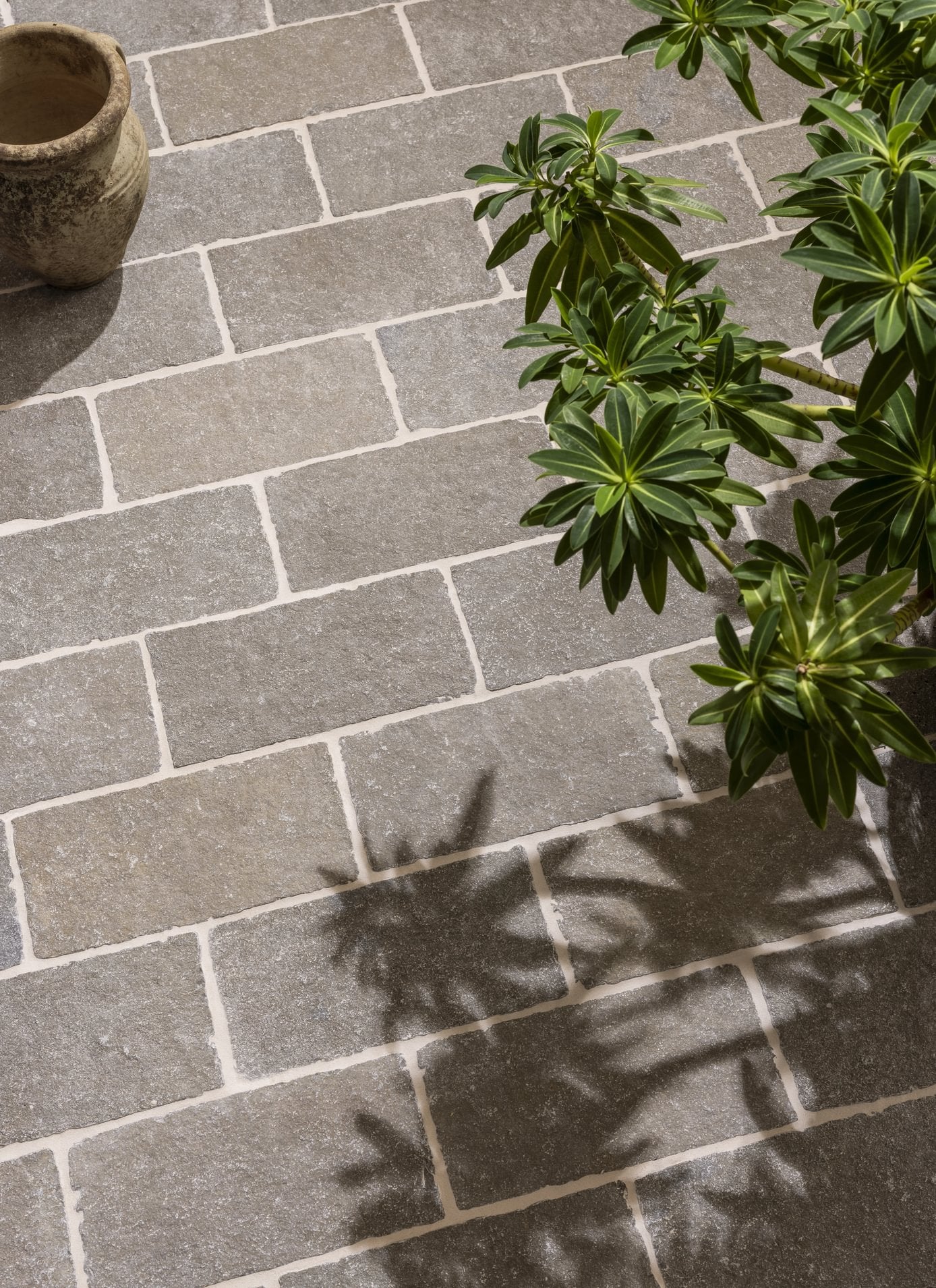 Raja Tumbled Outdoor Limestone