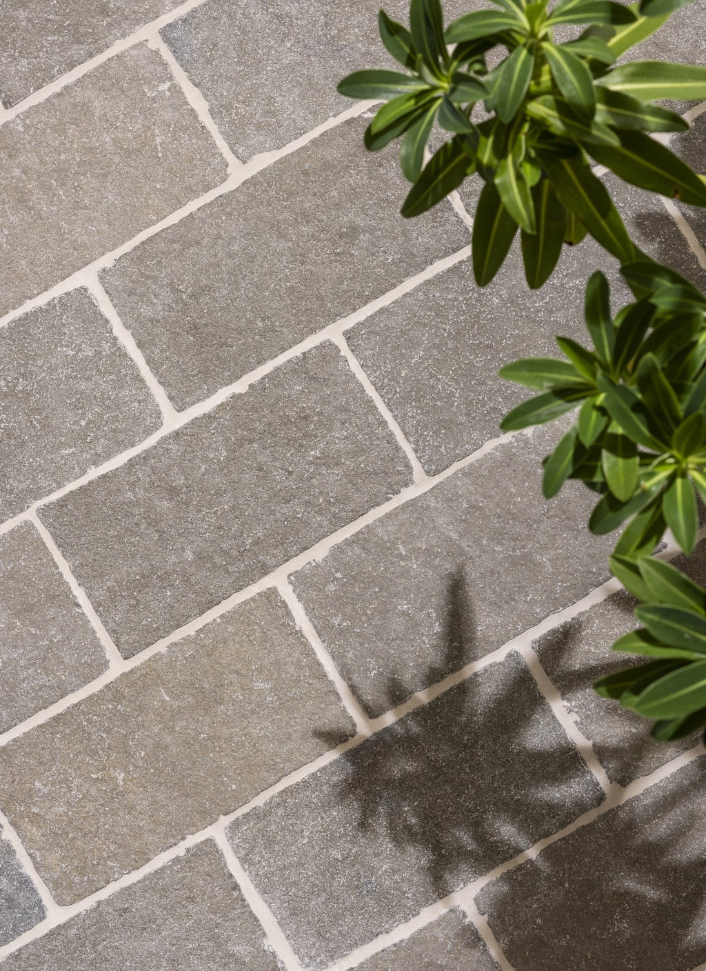 Raja Tumbled Outdoor Limestone