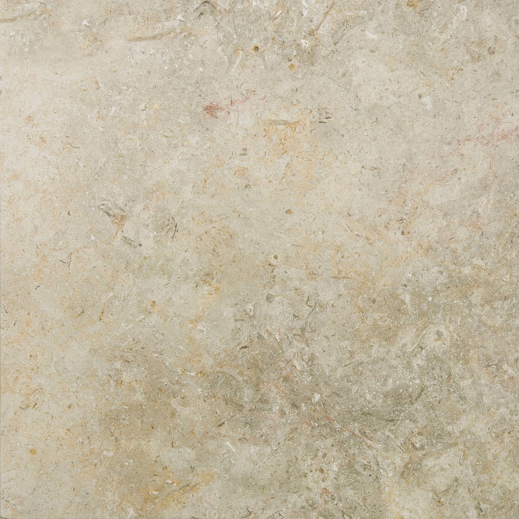 Jerusalem White Gold Honed Limestone swatch