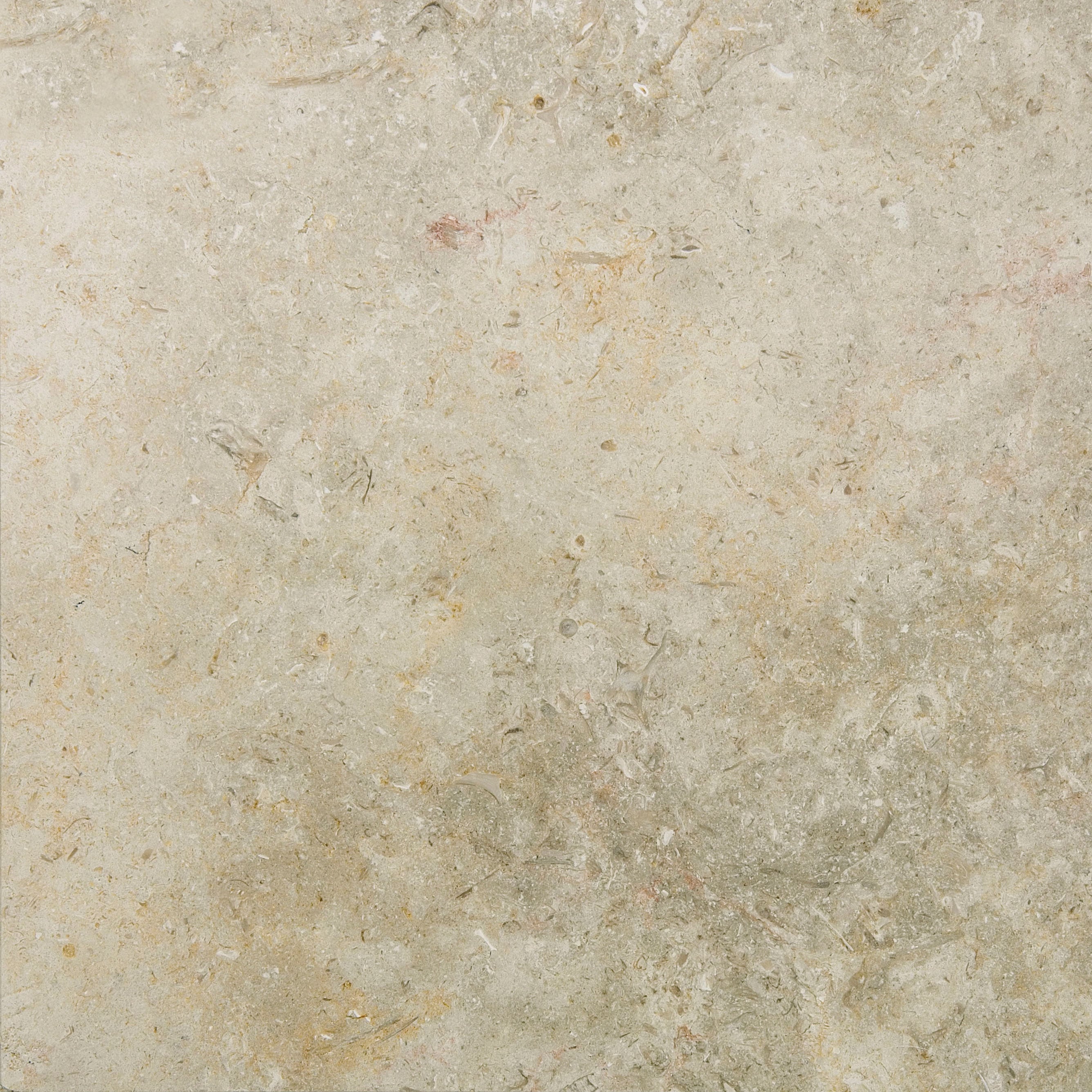 Jerusalem White Gold Honed Limestone swatch