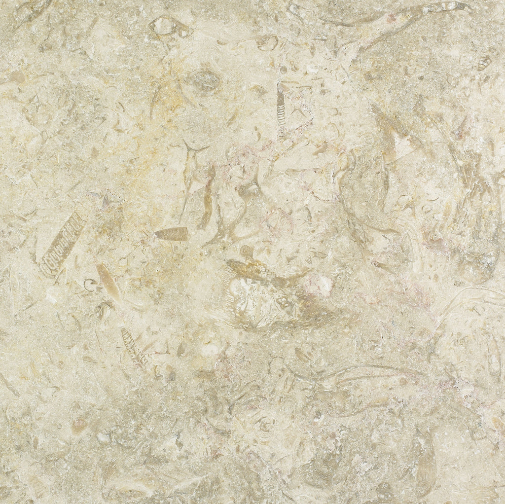 Levant White Gold Tumbled Limestone