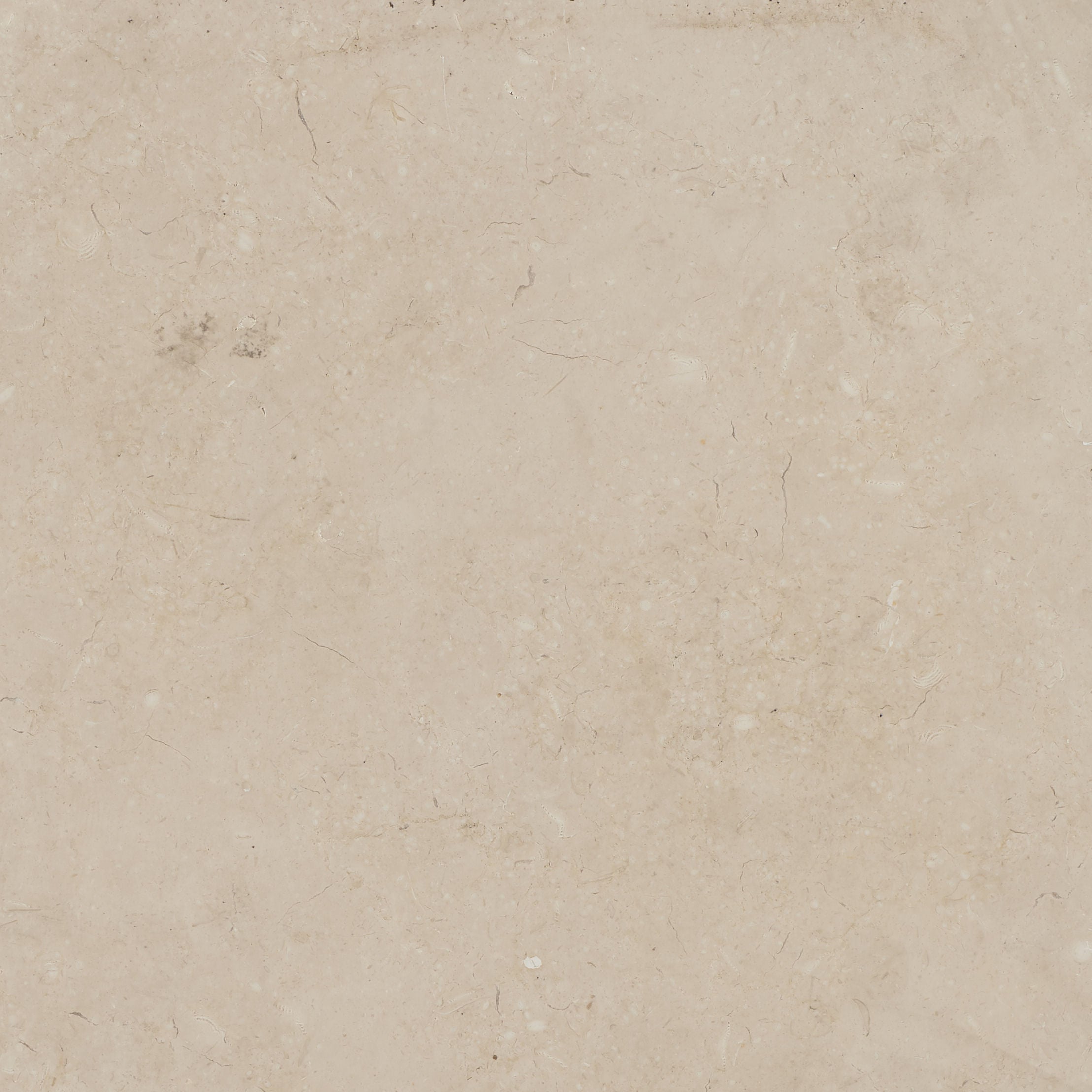 Lyon Provence Limestone swatch