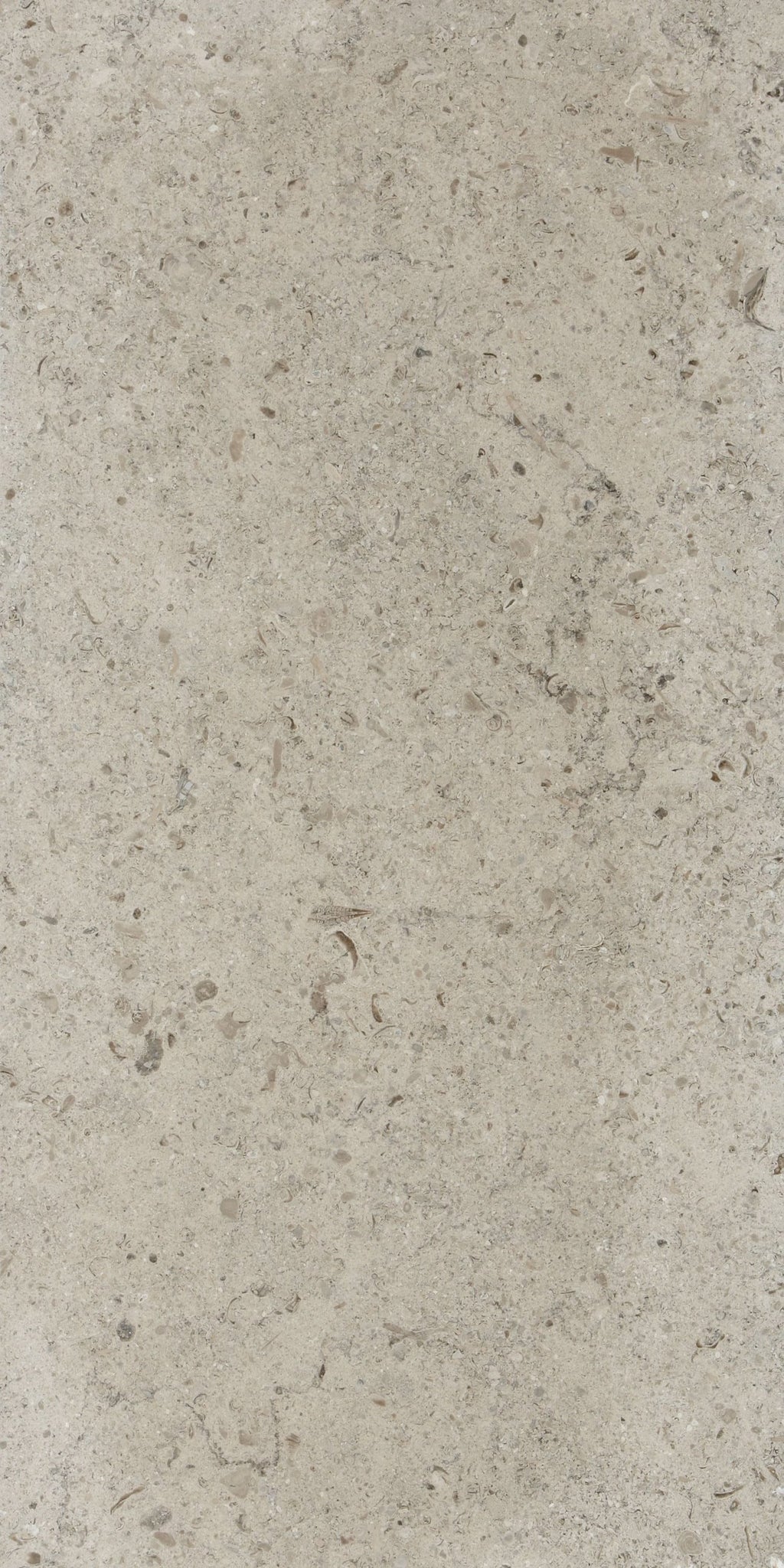 Moleanos Blue Honed Limestone