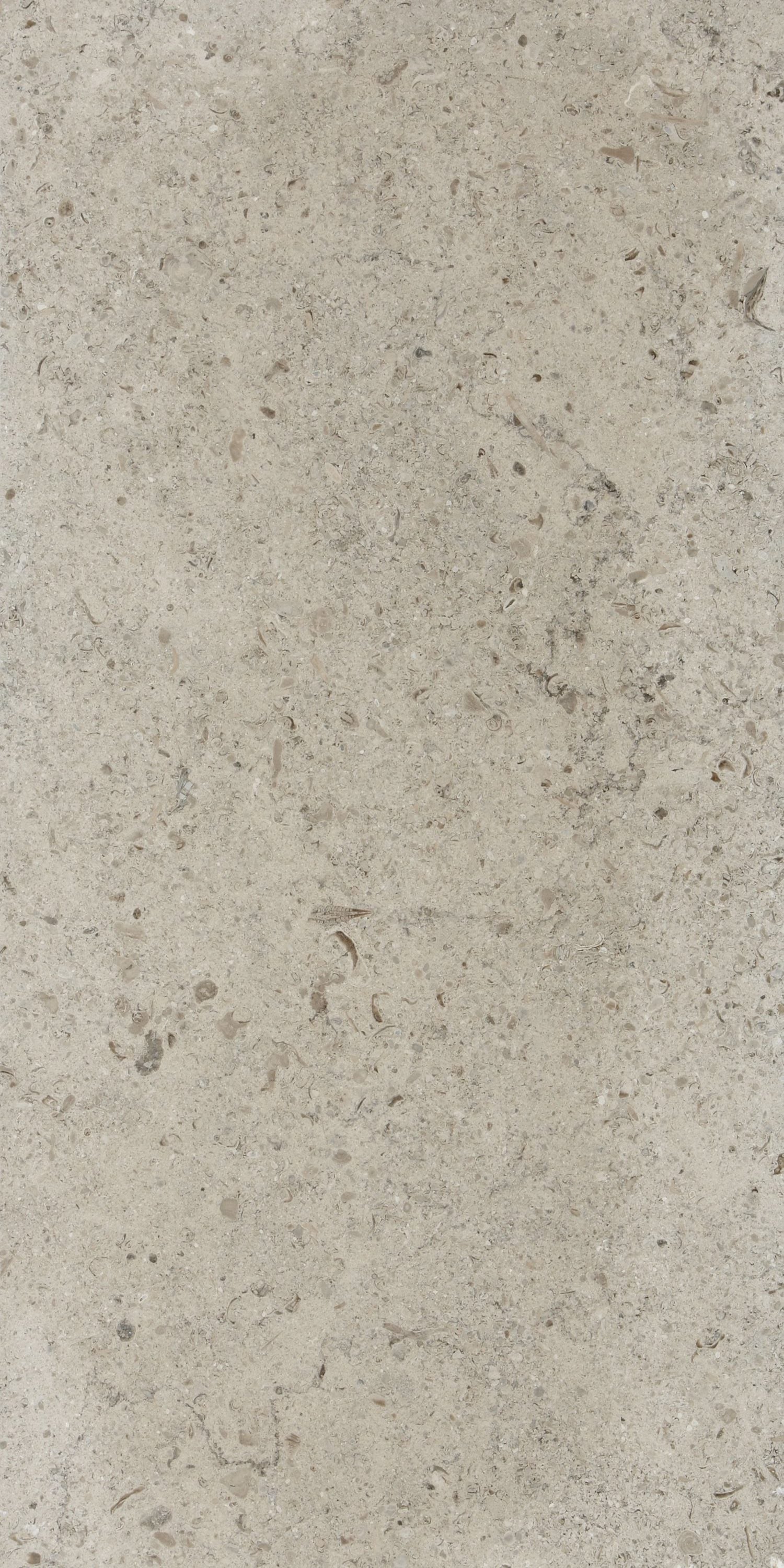 Moleanos Blue Honed Limestone