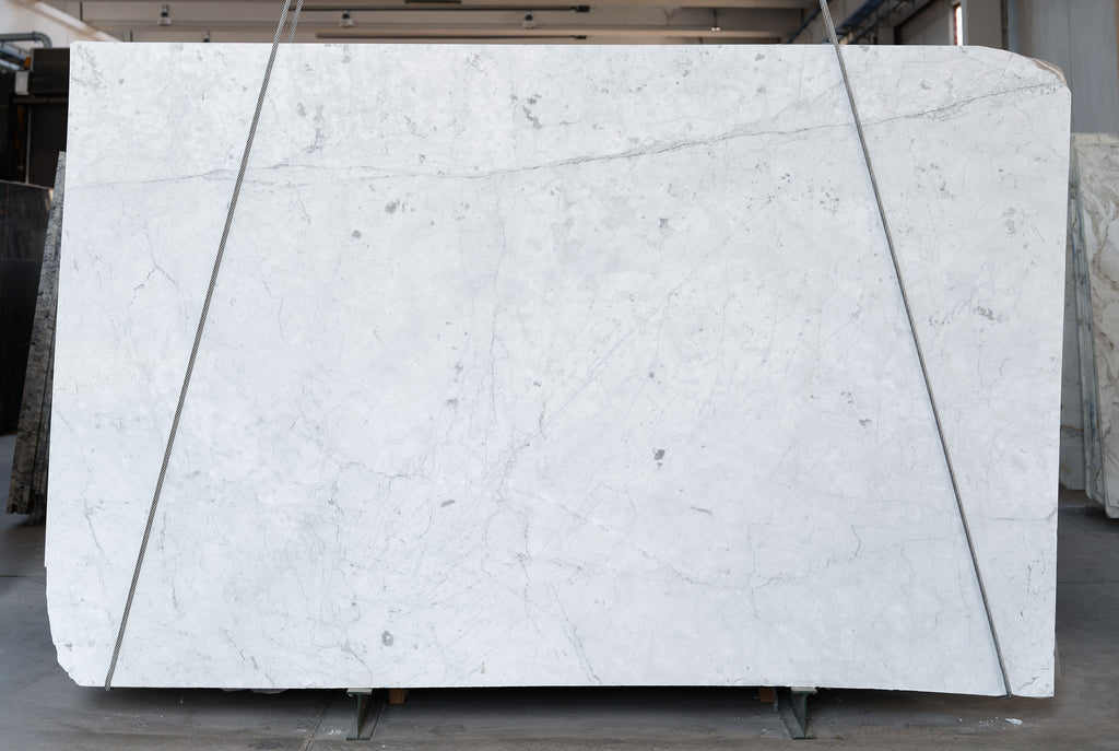 Bianco Carrara Gioia Polished Leather 307x192