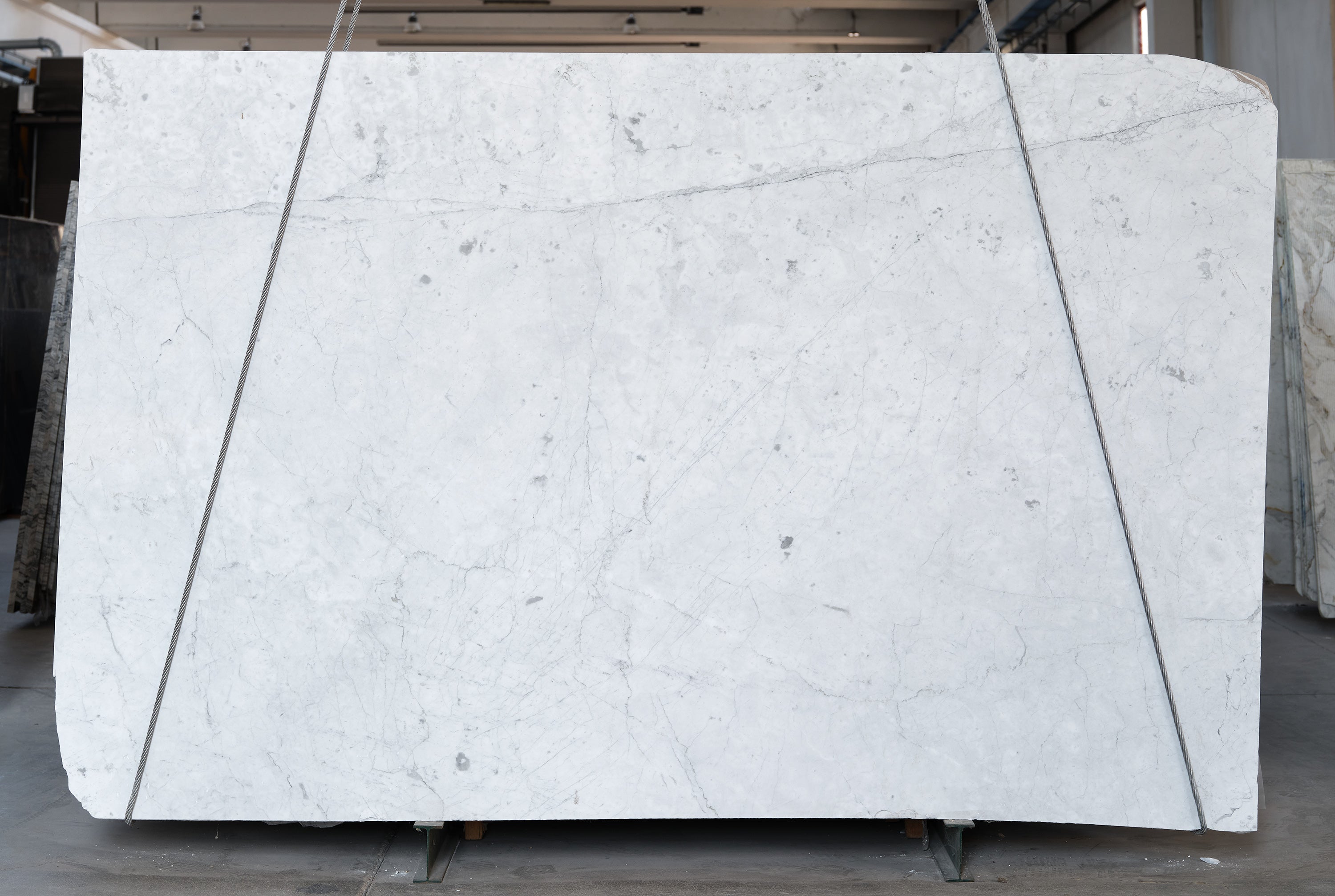 Bianco Carrara Gioia Polished Leather 307x192