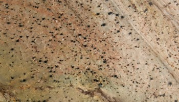 Copper Honed
