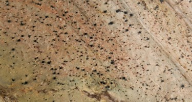 Copper Honed