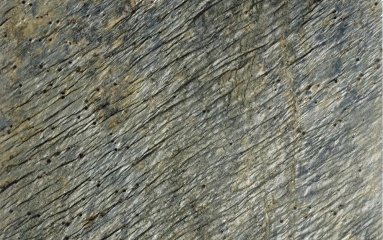 moss-green-honed-slate-swatch-1024x1021-1--2-
