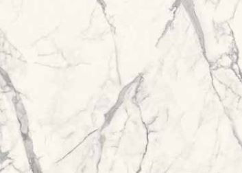 Nuovo Corso STATUARIO LEONARDO