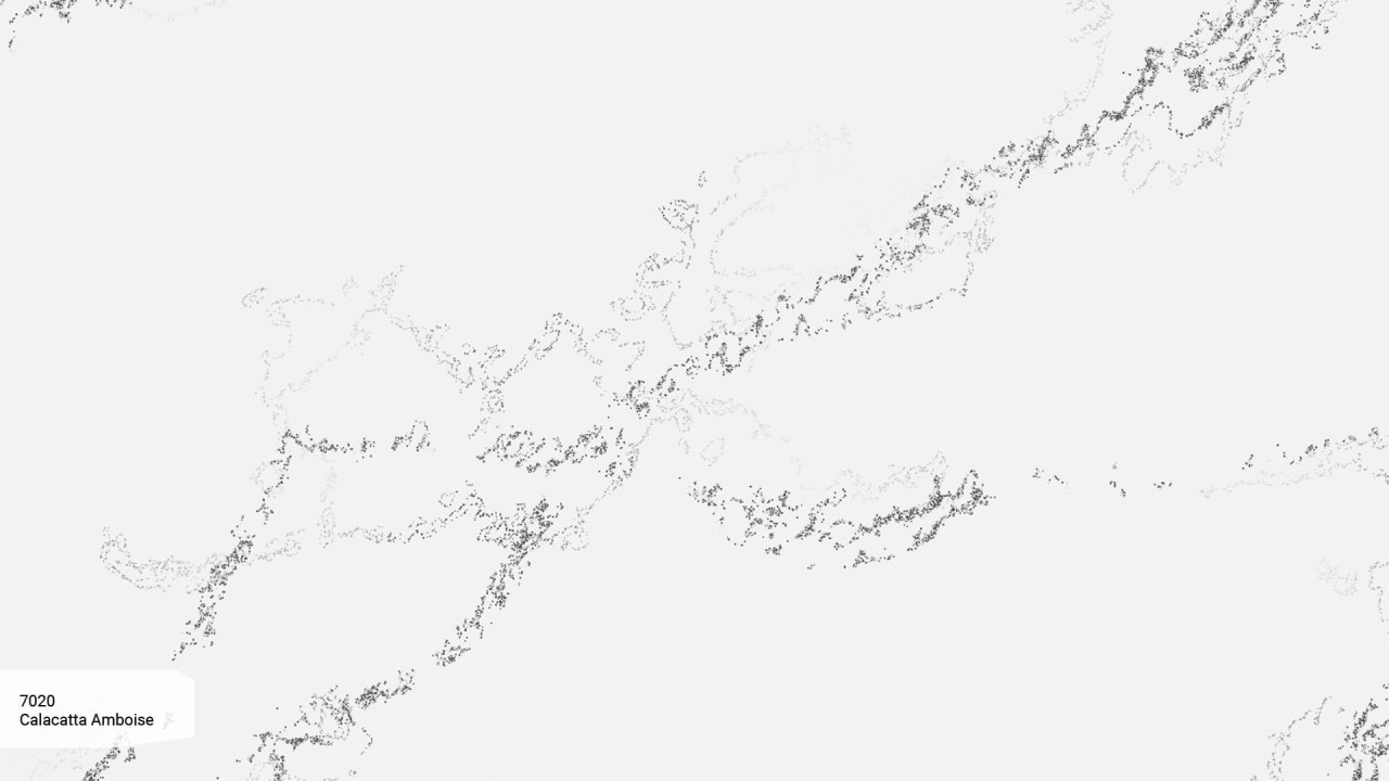 Avant Calacatta Amboise