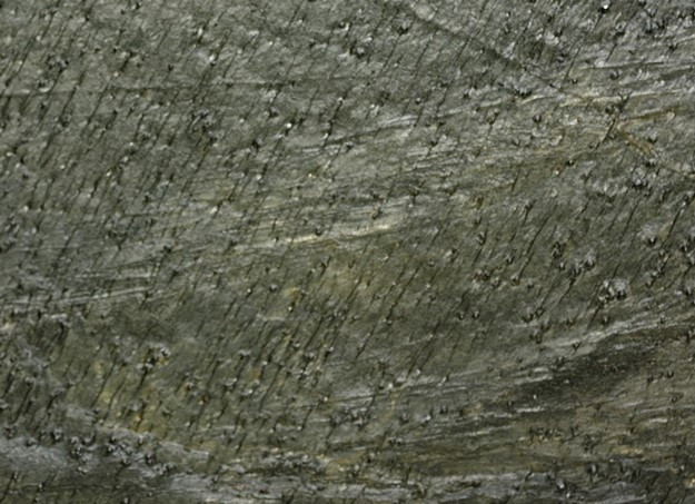 Grüner geschliffener Schiefer