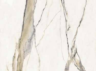 Nuovo Corso Gold Calacatta