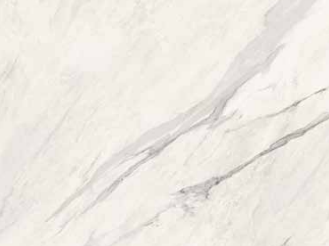 Nuovo Corso Calacatta White