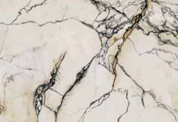 Nuovo Corso PAONAZZETTO REALE