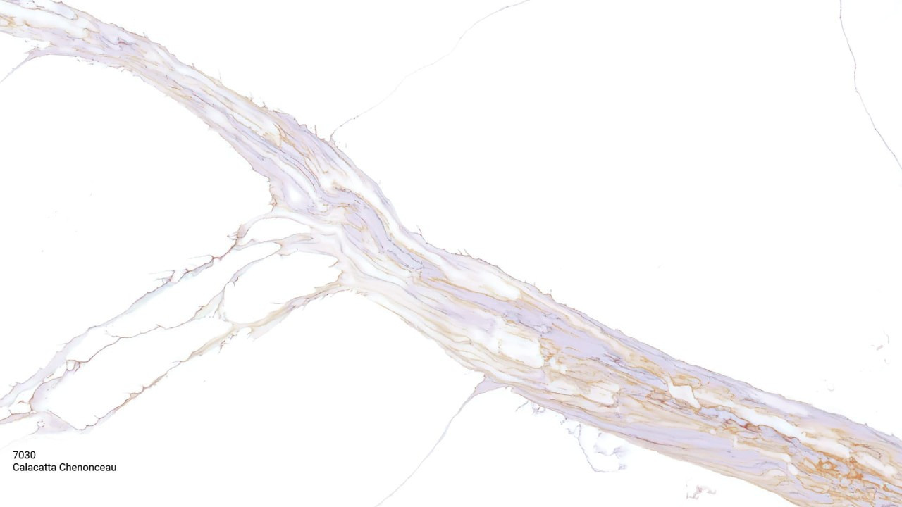 Avant Calacatta Chenonceau