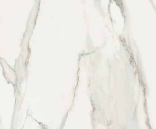 Nuovo Corso Absolute